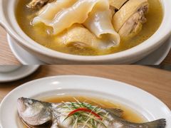 -柴门·头啖汤(天安千树店)