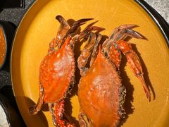 -牛New寿喜烧(新六百店)