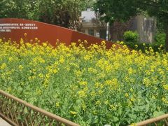 -BHG生活超市(安贞店)