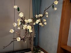 -臻品足道(后湖店)