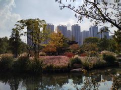 -和平公园