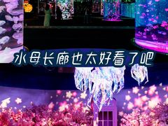 -正佳极地海洋世界