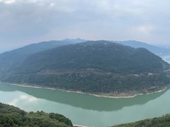 -铁山坪森林公园