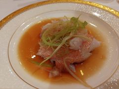 -唐阁(香港朗廷酒店)