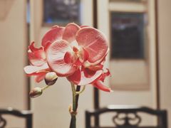 包房-湘轩·土菜研究院(光大店)