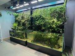 -ADA自然水景世界