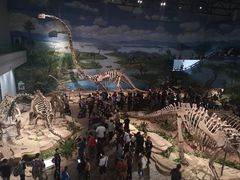 -自贡恐龙博物馆