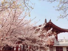 -西安青龙寺遗址景区