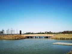 -春花秋色城市公园