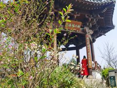 -杭州半山国家森林公园