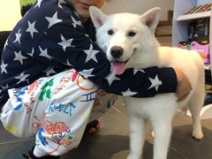 -萌兽医馆·眼科·异宠专科(三里屯店)
