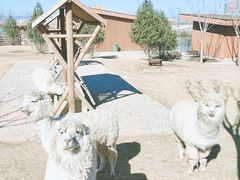 -太原动物园