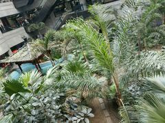 -黑龙江中医药大学附属第一医院