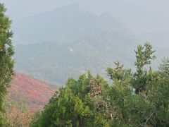 -红螺寺