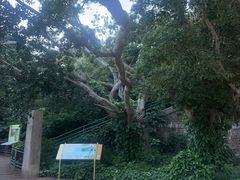 -赤柱马坑公园