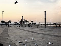 -东港音乐喷泉广场