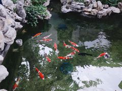 -鲤院·新中式美学·庭院餐厅(夫子庙店)