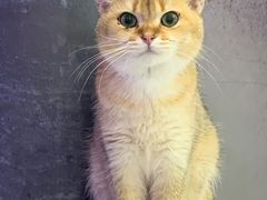 -极木²邸 人与宠物·互动社区