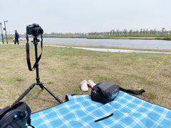 -春花秋色城市公园