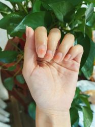 -JX今喜美甲美睫