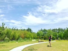 -上海长兴岛郊野公园