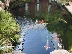 -即墨古城