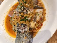 -印象鲵宴·张家界地标美食名片(溪布街店)