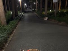 -上海怡沁园度假酒店