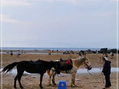 -南澳海滩