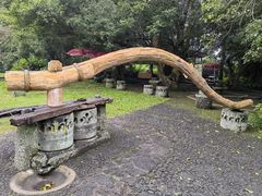 -海口火山口国家地质公园