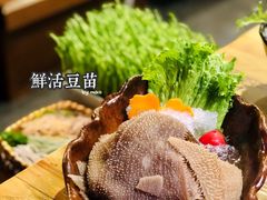毛肚-湊湊火锅·茶憩(上海合生汇店)
