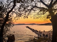 -湛山花园酒店-自助餐厅