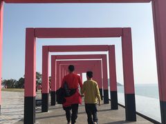 -漳州滨海火山岛自然生态风景区