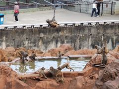-昆明动物园