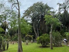-中国科学院西双版纳热带植物园