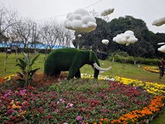 -南山植物园