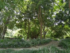-成都市活水公园