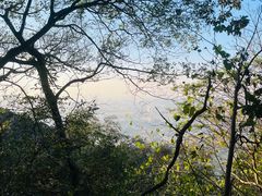 -紫金山山顶公园