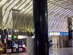 -金逸影城(武汉人信汇IMAX店)