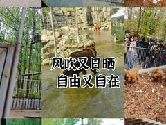 -北京野生动物园