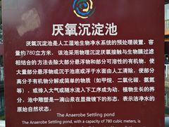 -成都市活水公园