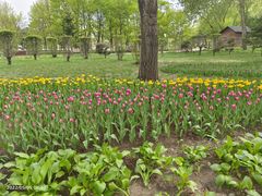 -长春公园(普阳街道)