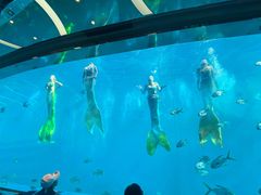-瑞德姆美人鱼海底演艺主题餐厅(亚龙湾店)