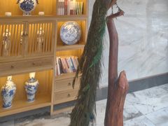 -唐山宴大唐州府精品中餐