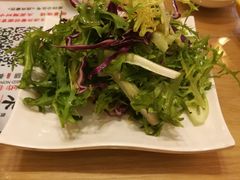 凉拌苦菊-洪兴砂锅(烟台山店)