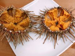 -海胆小馆(东北水饺·春柳店)