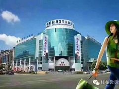 -桂林微笑堂商厦