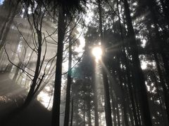 -井冈山风景名胜区-黄洋界