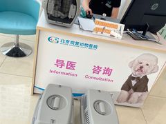 -北京观赏动物医院·24小时大型综合·猫专科·异宠专科