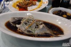 P1080927-金庭庄园酒店彩虹厅